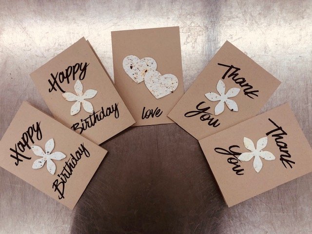 Buy Eco Bloom Plantable Seed Paper White Eco Bloom Plantable Seed Paper  Creased Cards On-line
