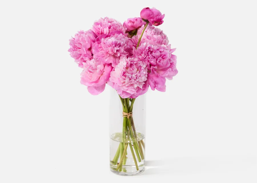 Send a Bouquet of Peonies to Brighten Someone's Day A Guide to Peony