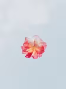 framed preserved flowers wall decor