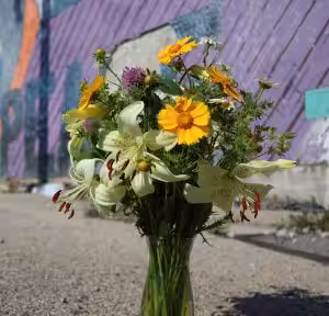 fresh flower closeup