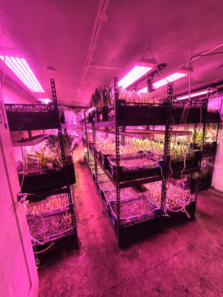 southside blooms team members