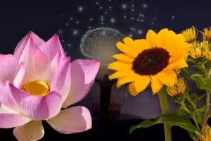 Flowers That symbolize Strength, Resilience and Courage